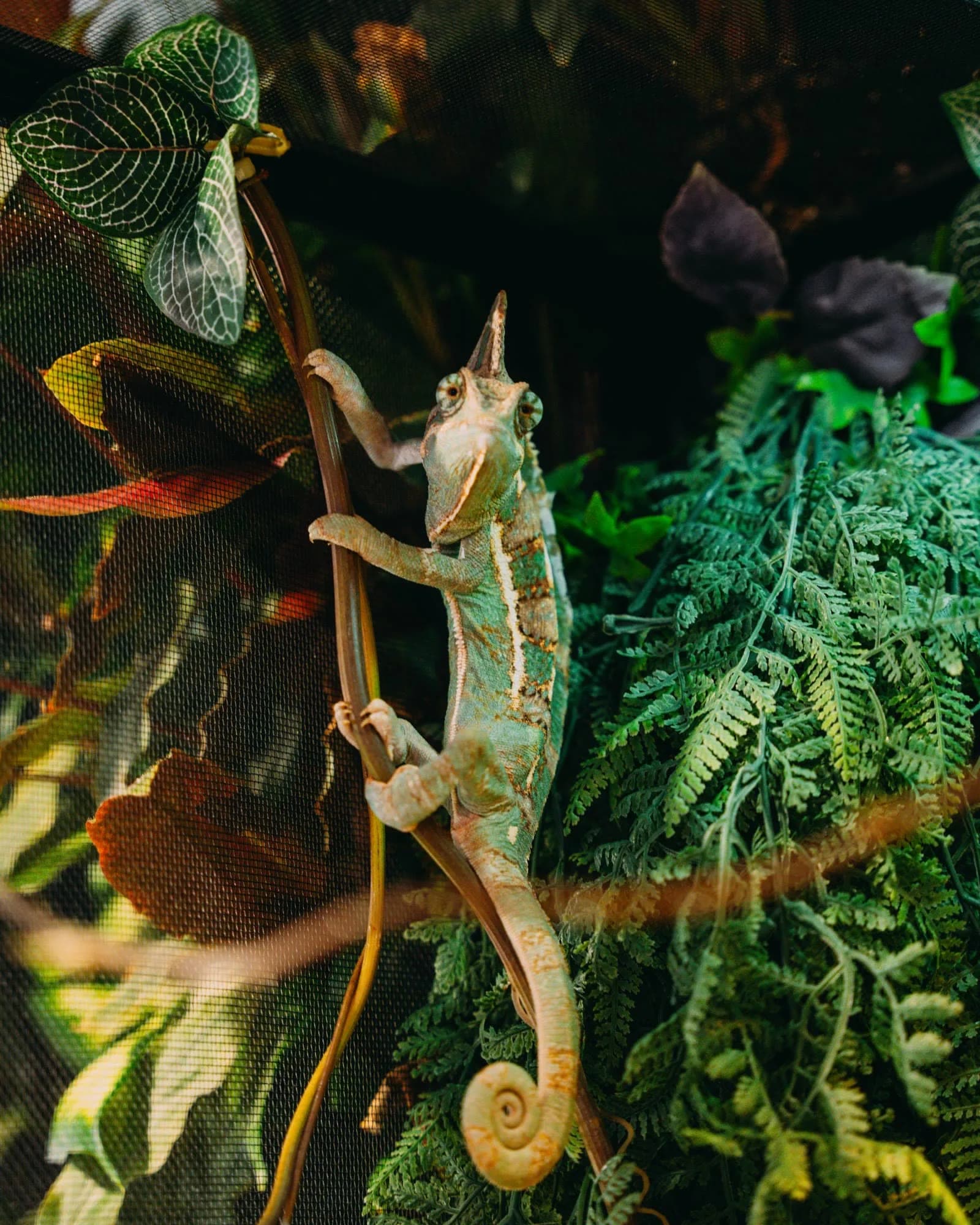 Corporate — portfolio Hugz Visuals, photographe dans le Var